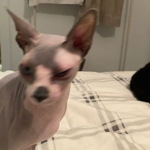 Meet your Posher, Jason